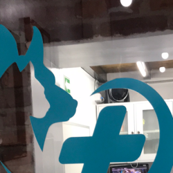 Veterinaria San Ángel