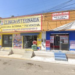 Veterinaria San Jerónimo