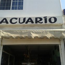 Negocio Veterinaria San Jorge