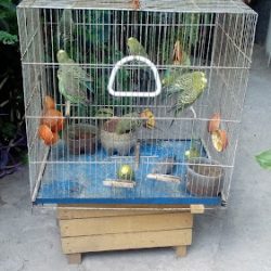 Negocio Veterinaria San Jorge