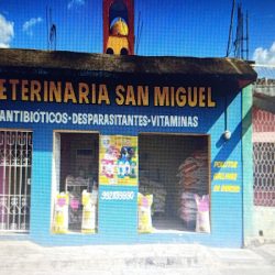 Negocio Veterinaria San Miguel