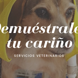 Veterinaria Yolkan Suc Palo Alto