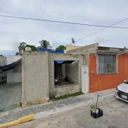 Negocio Veterinario Eduardo Palomo Canino's Pet