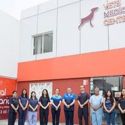 Vets Medical Center