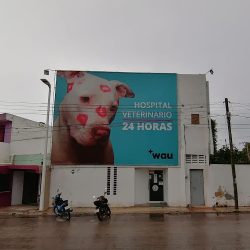 Wau Hospital Veterinario