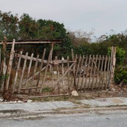 Negocio Zuso Veterinaria