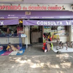 Adoptando Un Corazón Canino