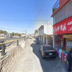 Negocio Agropecuaria "acuitlapilco"