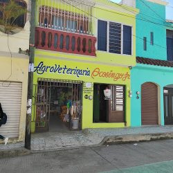 Negocio Agroveterinaria Ocosingo Jr.