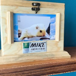 Almascotas, Servicio De Cremación Para Mascotas