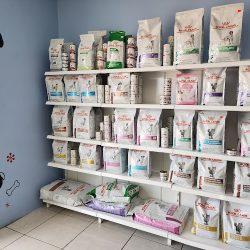 Negocio Alpha Clínica Veterinaria