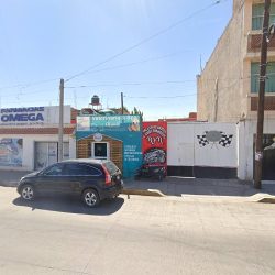 Amvet Consultorio Veterinario