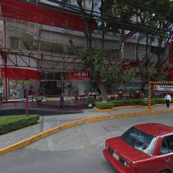 Animal Cells Biotherapy