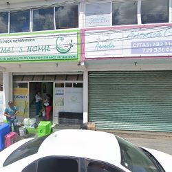 Negocio Animalia Grooming Salon