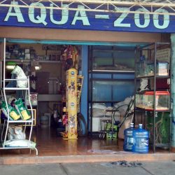 Negocio Aqua - Zoo