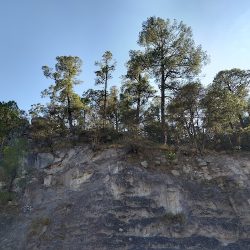 Negocio Banderas Del Águila