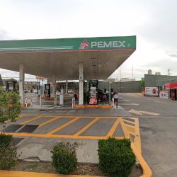 Negocio Beverly Pets