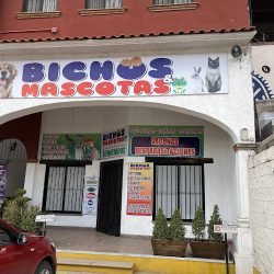 Negocio Bichos Y Mascotas