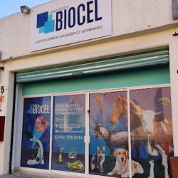 Biocel Laboratorio Veterinario