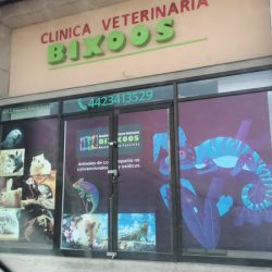 Bixoos. Hospital Clínico Veterinario. Mascotas/ Exóticos.