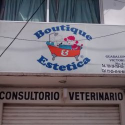 Boutique Estética