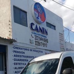 Canin