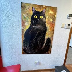 Cattoz Centro Clínico Para Pequeños Felinos