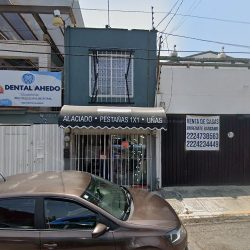 Centro De Diagnóstico Veterinario Puebla (cedivet)