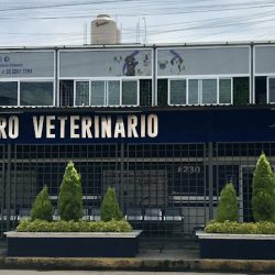 Centro Veterinario Granados