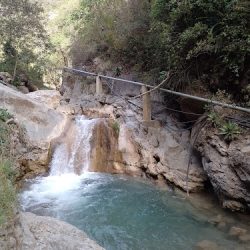 Negocio Chancol