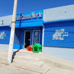 Clínica Canina Norte