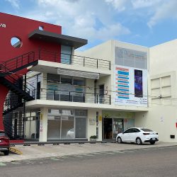 Clínica De Neurologia Veterinaria Sanu