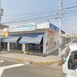 Negocio Clínica, Estética Y Farmacia Veterinaria