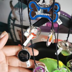 Clinica Veterinaria Alamos