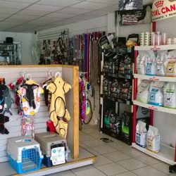 Clínica Veterinaria Animal Care