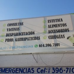 Negocio Clínica Veterinaria Animals World