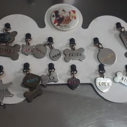 Clínica Veterinaria Aquaterra