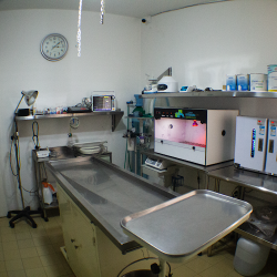 Clínica Veterinaria Arboledas