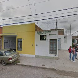 Clínica Veterinaria Arca De Noe