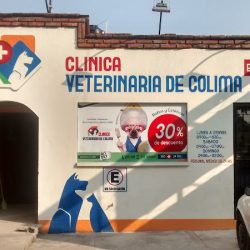 Clínica Veterinaria De Colima