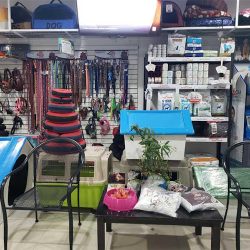 Clínica Veterinaria Del Dr. Memo