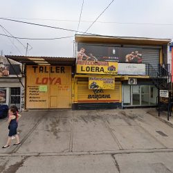 Negocio Clínica Veterinaria Dok Y Cat