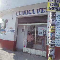 Clinica Veterinaria Ecate Pets