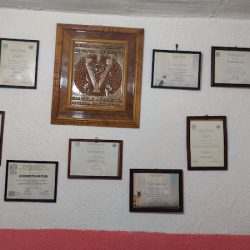 Clínica Veterinaria El Sabueso Contamos Con Servicio De Ultrasonido