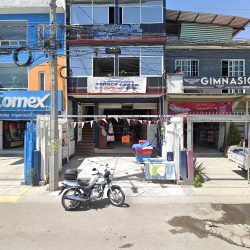 Negocio Clinica Veterinaria Estetica Canina