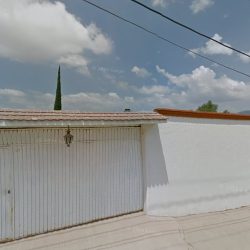 Negocio Clínica Veterinaria Estétican