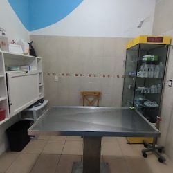 Clínica Veterinaria Gama