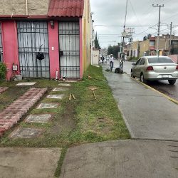 Clinica Veterinaria Gansito