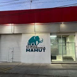 Clínica Veterinaria Mamut