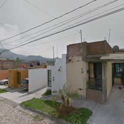 Negocio Clinica Veterinaria Mordi